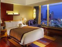 珠海来魅力假日酒店 - 观澳海景高级大床房