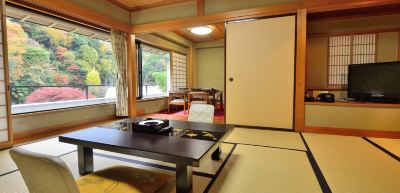 【池の棟】山側・一般客室（和室10畳＋洋間） 箱根湯本温泉 吉池旅館の写真