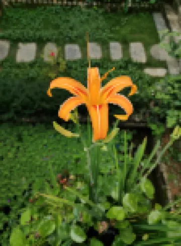 Huangyao Ancient Town Deyun Shanzhuang Hotel