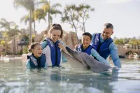 Sea World Resort - Beach