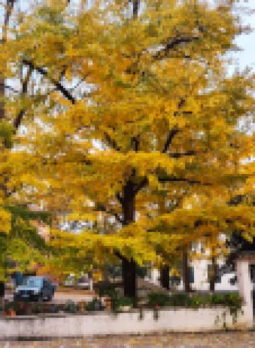 xiangyu Homestay Hotels near Changxing Badujie Scenic Area