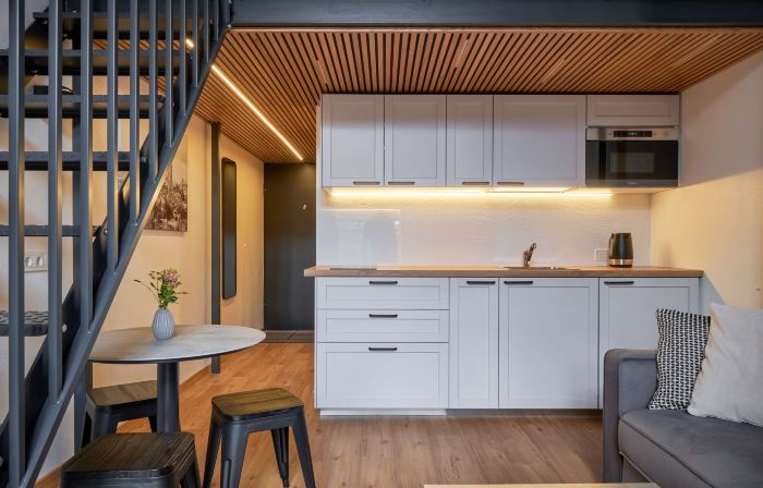 Queen Barbora Central Lofts