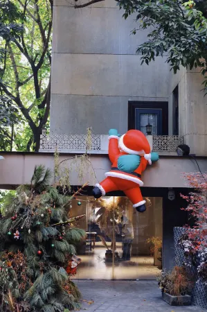 OR BLACK B&B Отели рядом с достопримечательностью «Nanshan Botanical Garden»