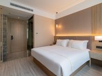 丽呈睿轩上海国际旅游度假区川沙酒店 - 标准大床房
