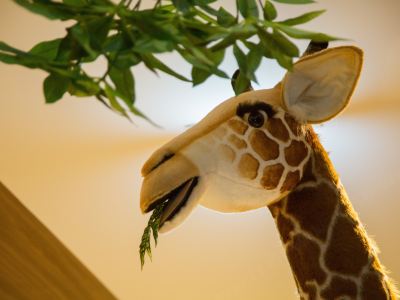 レストラン ラ・ジェント・ステイ札幌大通の写真