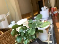 Yuansu -  Appartamenti vacanze