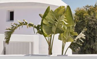 Nikki Beach Resort & Spa Santorini