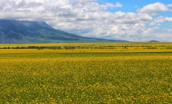 Qinghai Lake Yanqi Lake B&B