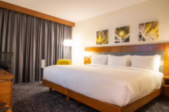 內羅畢機場希爾頓花園酒店