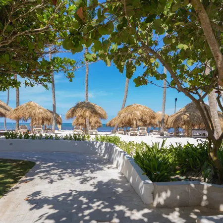 Tropical Deluxe Princess - All Inclusive