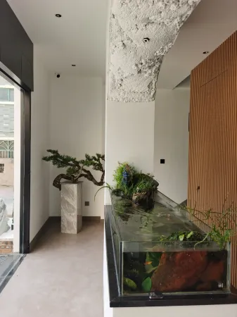 Designer G Homestay Отели в г. Сюнин