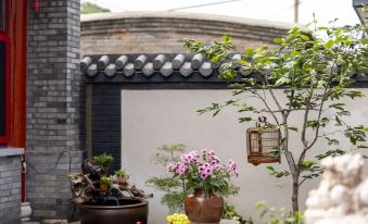 Beishe Classical Courtyard Boutique Homestay