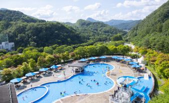 Elysian Gangchon Resort