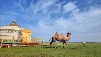 Mongolian Charm Wild Luxury Campsite (China-Russia Border Wetland Scenic Area) Hotels in Altes Bargu-Banner