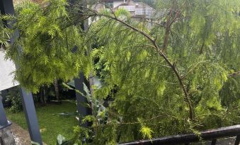 Sandalwood green villa