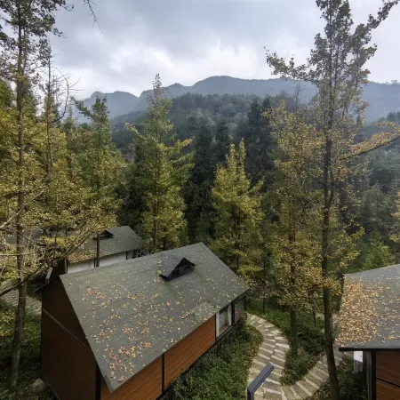 Fengchui Linxia Forest Homestay