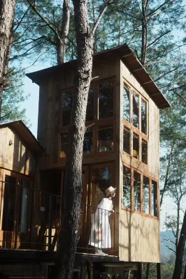 Duck Farm · The Lodge In Woods