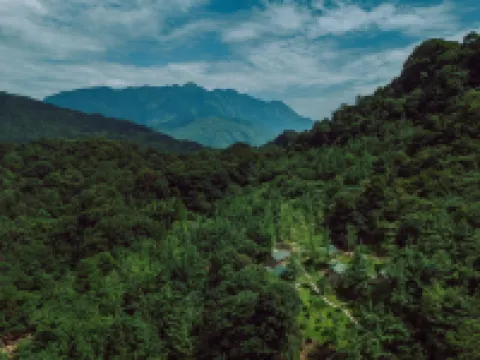 Mount Qingcheng Houshanli Homestay