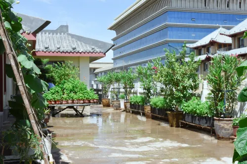 Xingxin Boutique Hotel