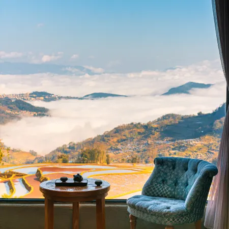 The Twelve Manor Terraces Hostel