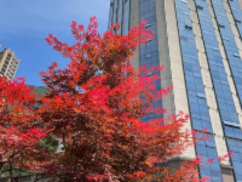 River & Holiday Rezen Hotel Pengshui Hotels in Pengshui County