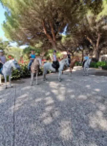 Horse Country Resort Congress & Spa - Hotel Ribot Hotel a 