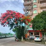 Dongxing Recipe Yajing Hotel