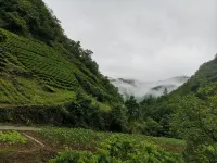 Baohe homestay