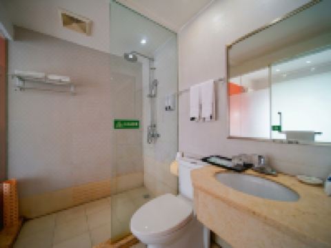 江油棕榈泉花园商务酒店 - 单人间