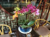 징구 홍빈 비즈니스 호텔