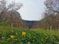 邛崃瑞园名宿 - 花园