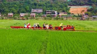 Yunzuo Farm Boutique Guesthouse