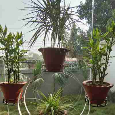 Hotel City Park Pvt. Ltd. Hotel Exterior