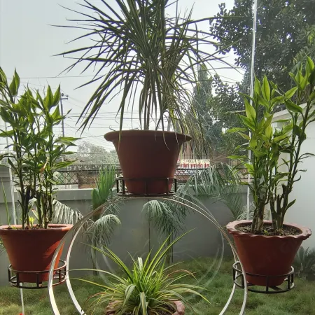 Hotel City Park Pvt. Ltd.