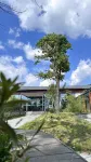 憶念山裡民宿