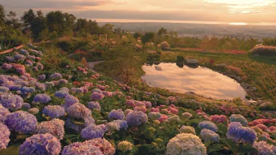 The Greence Linn Hillside Hotel Các khách sạn gần Peach Stream Resort Dali