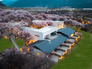 山沢居 野奢 桃林庭院リゾート民宿