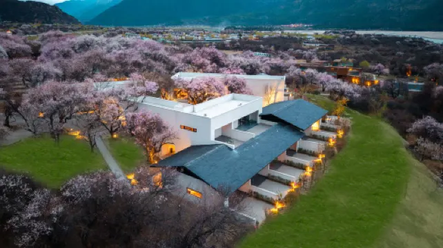 Sanzee Luxury wilderness courtyard