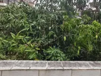 The mountains hotel โรงแรมใกล้สวนมันตง