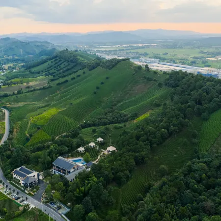 Anji Ruifeng Tea Valley Resort Hotel