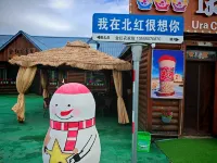 Mohe Jinhong Snow House Farm Stay - Homestays