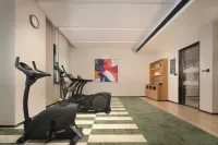 Hampton by Hilton Urumqi Weixing Road - Gym