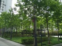 北京万科公园公寓 - 花园