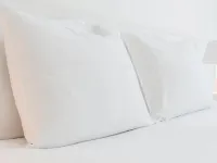 Sunday Wismar Hotels in Wismar
