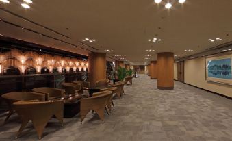 Himeji Castle Grandvrio Hotel