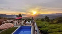 Xiuning Shangri-La Meishe Yunshang Chayuanli Homestay - Pools