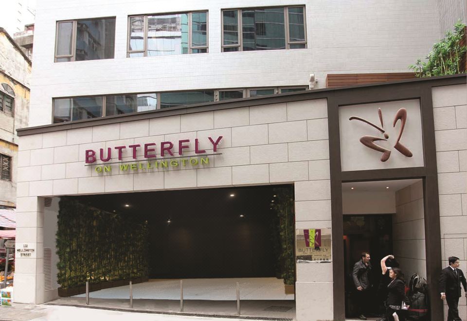 버터플라이 온 웰링턴