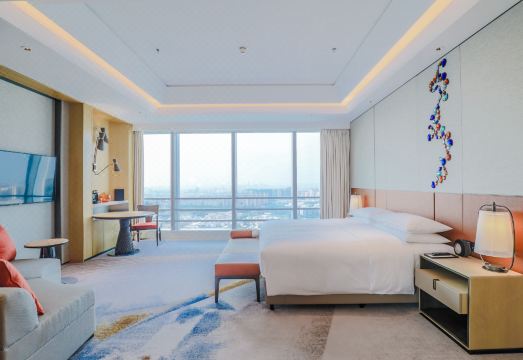 Dynamic Court Over view