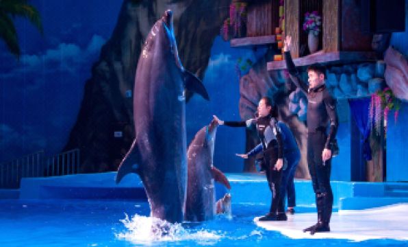 Song Hotel Chongqing