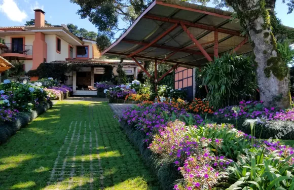 芬卡聖何塞機場芬卡帕拉伊索住宿加早餐旅館